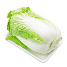 Napa cabbage