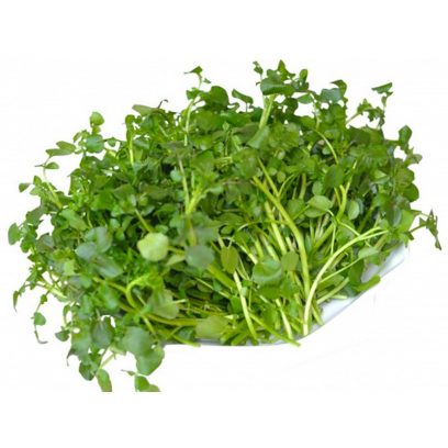 watercress