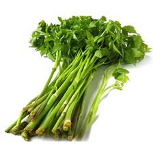 Celery