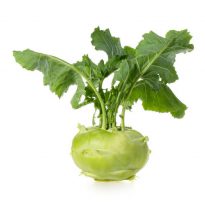 Kohlrabi / turnip cabbage