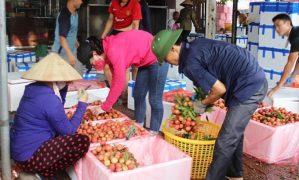 (Tiếng Việt) Kỳ vọng xuất khẩu nông sản trong năm 2023