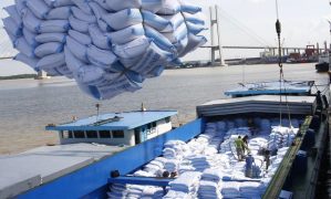 (Tiếng Việt) Philippines sẽ vẫn là khách mua gạo lớn nhất của Việt Nam
